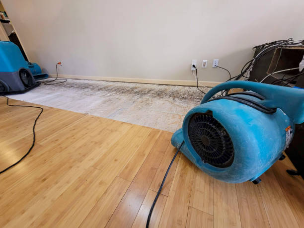 Professional Flood Damage Cleanup technician working in Mount Blanchard, OH